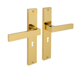 Mooi Deurbeslag Lusso geveerd op schild sleutelgat 55mm messing PVD