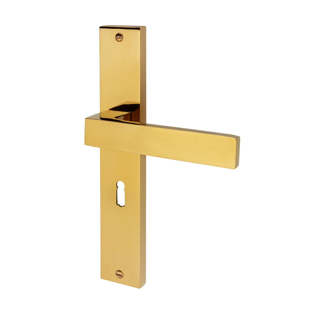 Mooi Deurbeslag Lusso geveerd op schild sleutelgat 55mm messing PVD