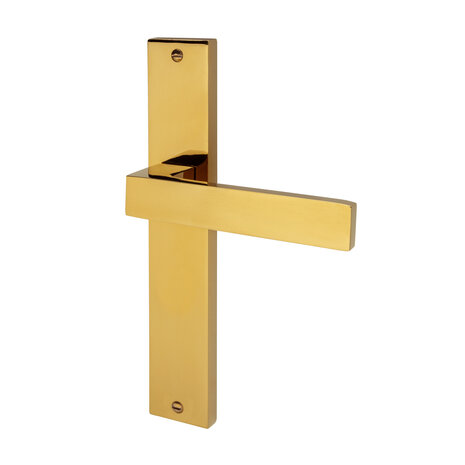 Mooi Deurbeslag Lusso geveerd op schild messing PVD