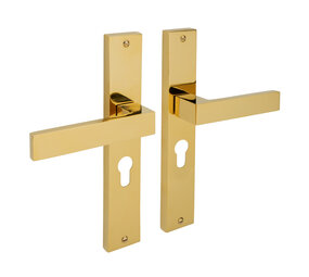 Mooi Deurbeslag Lusso geveerd op schild cilindergat 55mm messing PVD