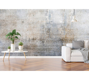 WalltexPro Beton look WalltexPro Beton look