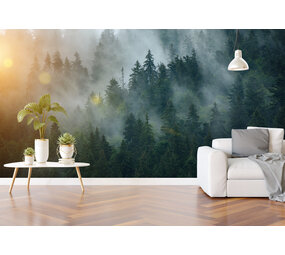 WalltexPro Bos zonnenschijn WalltexPro Bos zonnenschijn