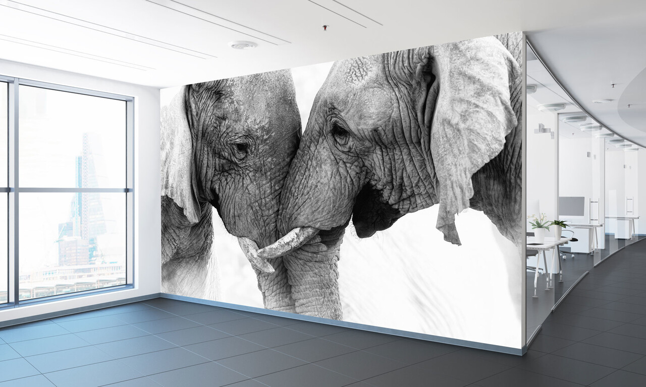 Multifunctioneel naadloos textielbehang olifanten duo Multifunctioneel naadloos textielbehang olifanten duo