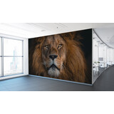Multifunctioneel textielbehang lion Multifunctioneel textielbehang lion