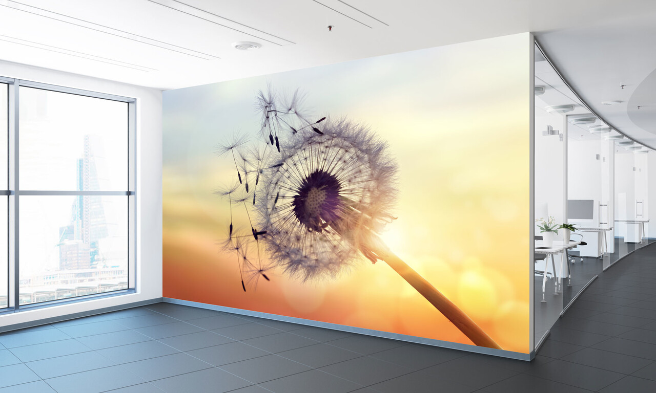 Multifunctioneel naadloos textielbehang Paardenbloem Multifunctioneel naadloos textielbehang Paardenbloem