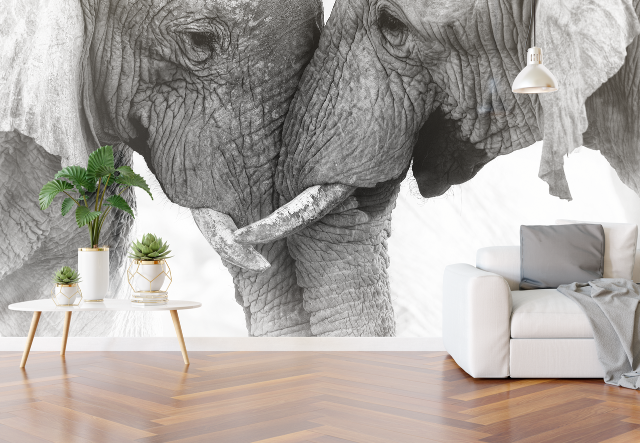 Naadloos textielbehang WalltexPro olifanten duo Naadloos textielbehang WalltexPro olifanten duo