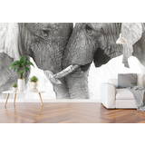 WalltexPro olifanten duo WalltexPro olifanten duo