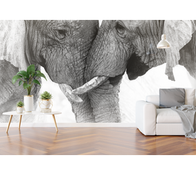 WalltexPro olifanten duo WalltexPro olifanten duo