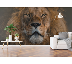 WalltexPro Lion WalltexPro Lion
