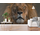 Naadloos textielbehang WalltexPro Lion