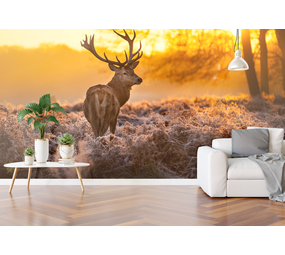 WalltexPro Hert WalltexPro Hert