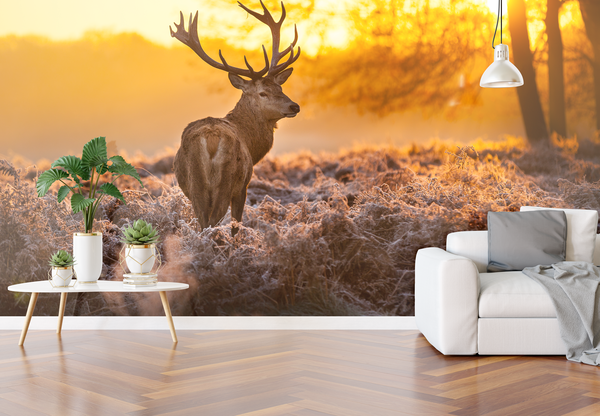 Naadloos textielbehang WalltexPro Hert Naadloos textielbehang WalltexPro Hert