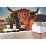 Airtex Hooglander Airtex Hooglander