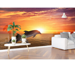 Airtex Dolfijnen Airtex Dolfijnen