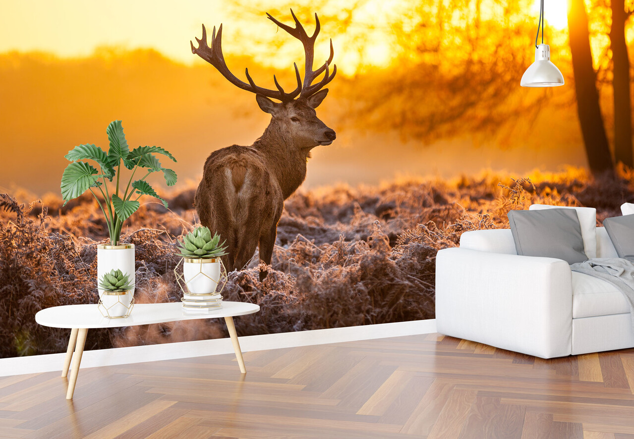 Airtex Fotobehang Rood Hert Airtex Fotobehang Rood Hert