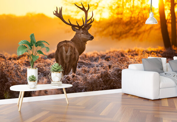Airtex Fotobehang Rood Hert Airtex Fotobehang Rood Hert