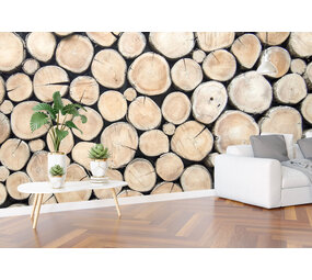 Airtex Hout Airtex Hout