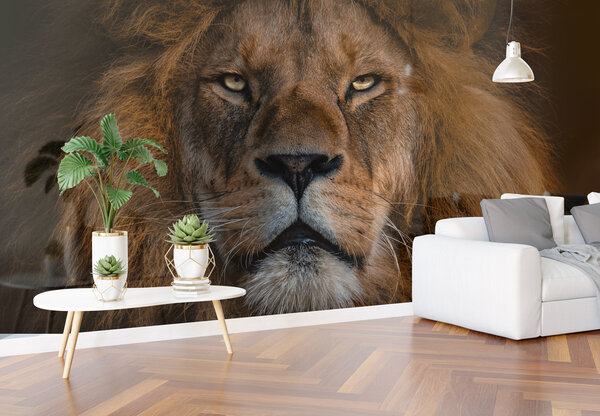 Airtex Fotobehang Lion Airtex Fotobehang Lion