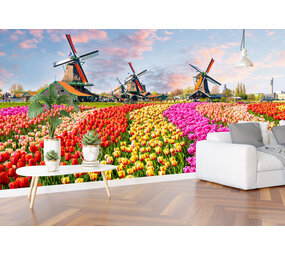 Airtex Nederlandse tulpen Airtex Nederlandse tulpen