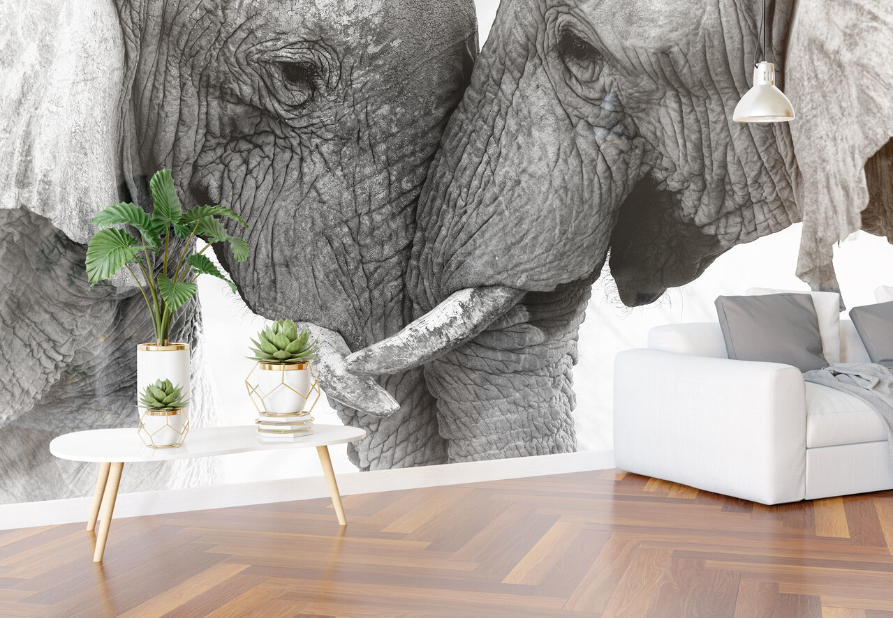 Airtex Fotobehang Olifanten duo Airtex Fotobehang Olifanten duo