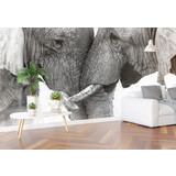 Airtex Olifanten duo Airtex Olifanten duo