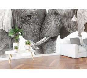 Airtex Olifanten duo Airtex Olifanten duo