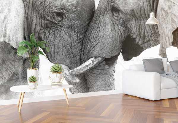 Airtex Fotobehang Olifanten duo Airtex Fotobehang Olifanten duo
