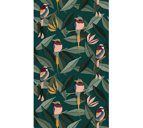 Vogel behang Vogel behang