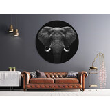 Muurcirkel Olifant Muurcirkel Olifant