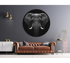 Muurcirkel Olifant Muurcirkel Olifant
