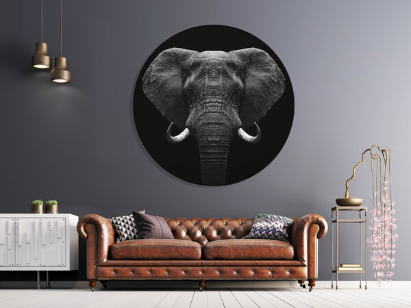 Muurcirkel Dibond Olifant Muurcirkel Dibond Olifant