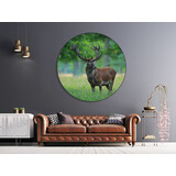 Muurcirkel Hert Muurcirkel Hert