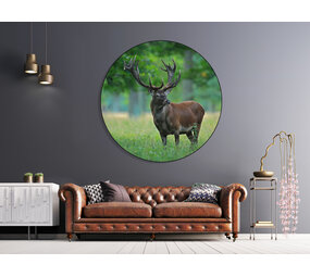 Muurcirkel Hert Muurcirkel Hert