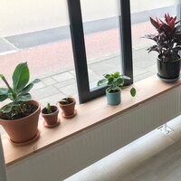 Custom photo 1