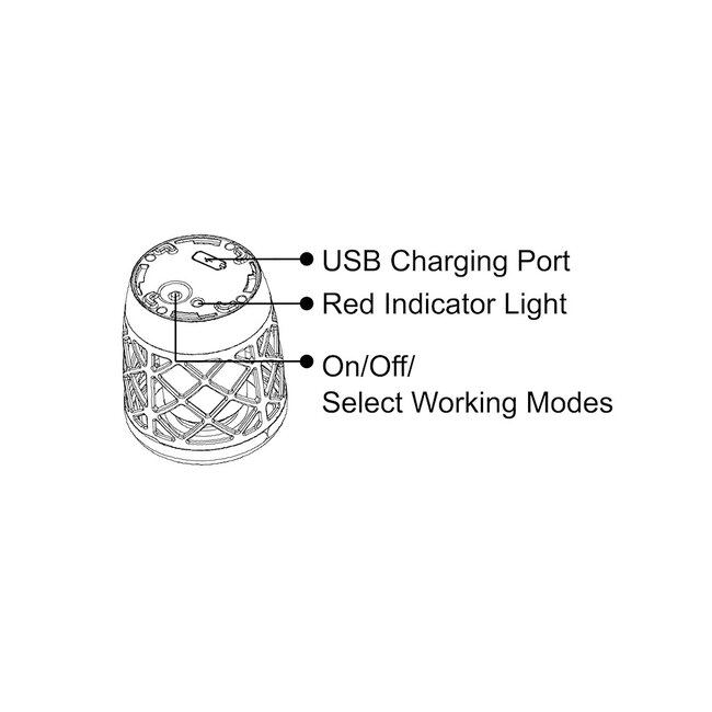 Solar tuinfakkel Torch 2W met vlameffect