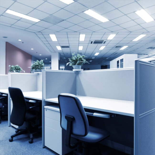 LED paneel 30x120cm, 30W, 6500K - 120lm/W