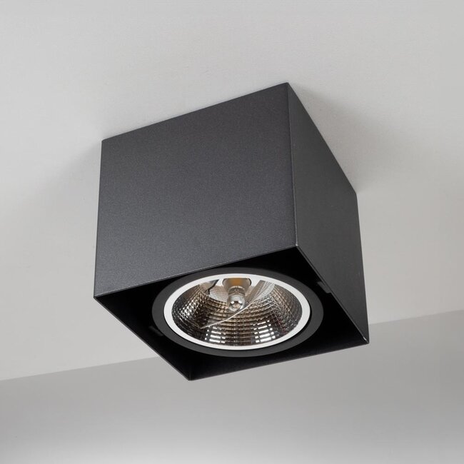 AR111 Opbouwspot 1-licht Willow - zwart