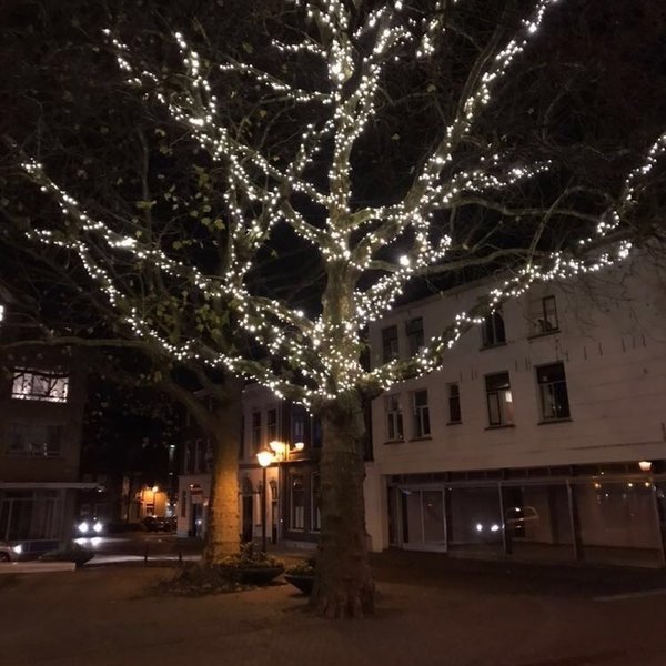 OBI Christmas Guirlande lumineuse Étoile métallique Blanc 10x LED Blanc  chaud