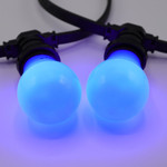 Lichterkette Glühbirne farbig, große Abdeckung, blau, LED 2 & 5 Watt