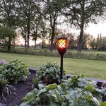 Solar-Gartenfackel Torch 2W mit Flammeneffekt