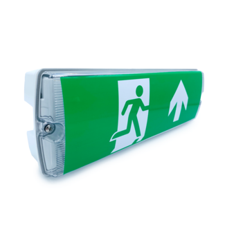 5.5 watt surface-mounted emergency lighting OTG-DD