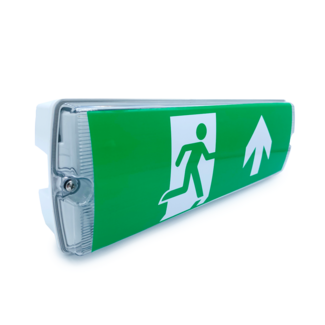 5.5W surface-mounted emergency light OTG-DD-4