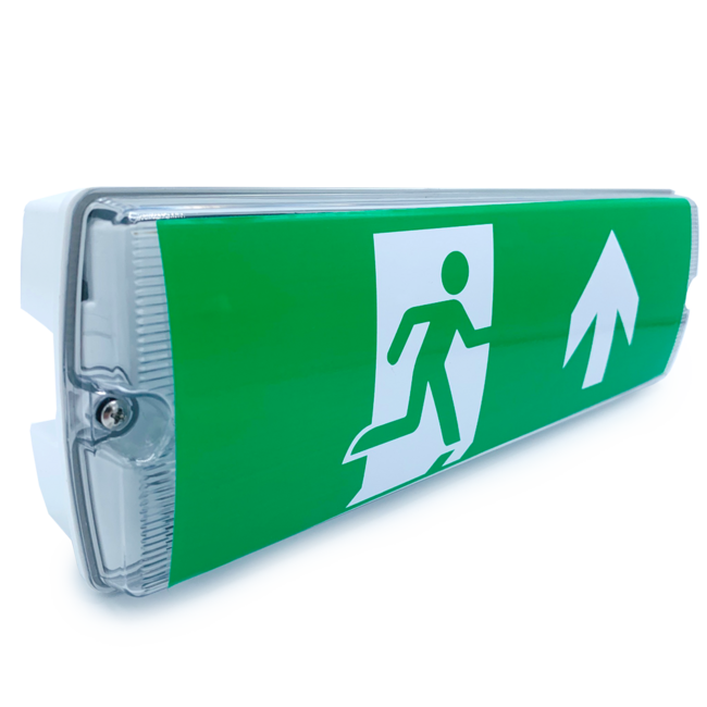 5.5 watt surface-mounted emergency lighting OTG-DD