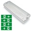 5.5 watt surface-mounted emergency lighting OTG-DD