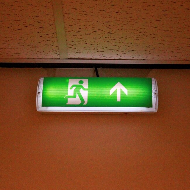 5.5 watt surface-mounted emergency lighting OTG-DD