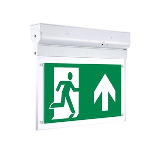Surface-mounted emergency lighting on swivel OTG-FF