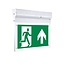 Surface-mounted emergency lighting on swivel OTG-FF