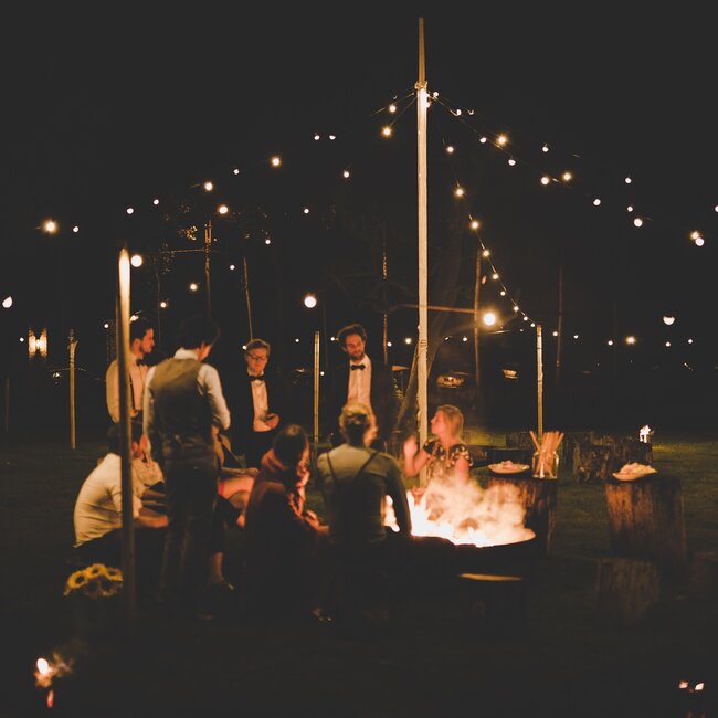 A60 warm white festoon bulb, opal-white
