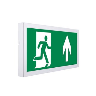 Surface-mounted emergency lighting LI-BAK
