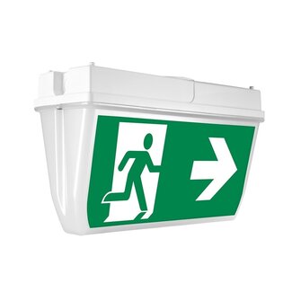 Surface-mounted emergency lighting OTG-EF-6